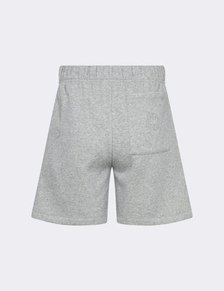 LR-NUKA 25 Shorts Light grey